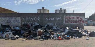 ordenanza convivencia