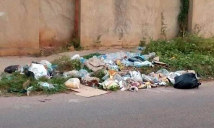 basura y aguas negras en la rosaleda