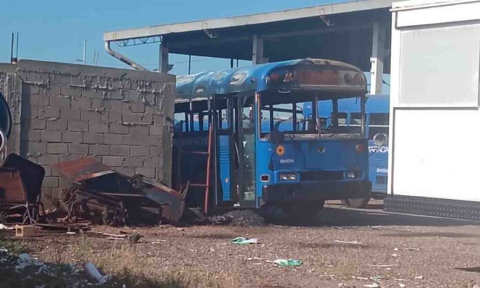 buses maracaibo