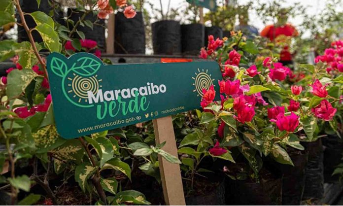 Plan Maracaibo Verde Maracaibo Verde