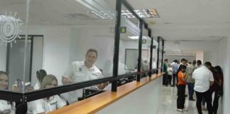 sedemat pago impuestos