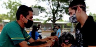 vacunación contra la rabia