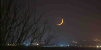 luna nueva 2022