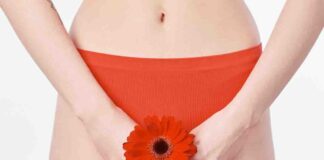 vagina bacteria