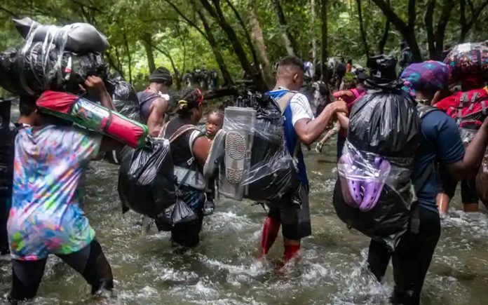 selva del darién selva del darién