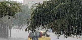 Lluvias Tormentas