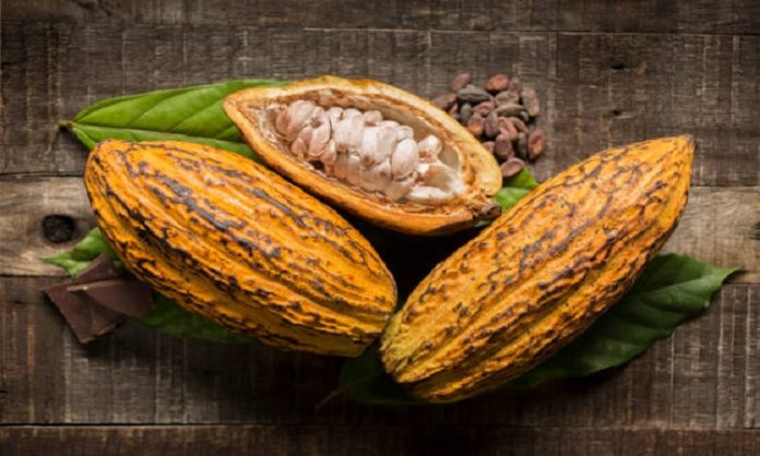 Propuesta desarrollo cacao Zulia Propuesta desarrollo cacao Zulia