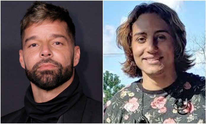 ricky martin ricky martin
