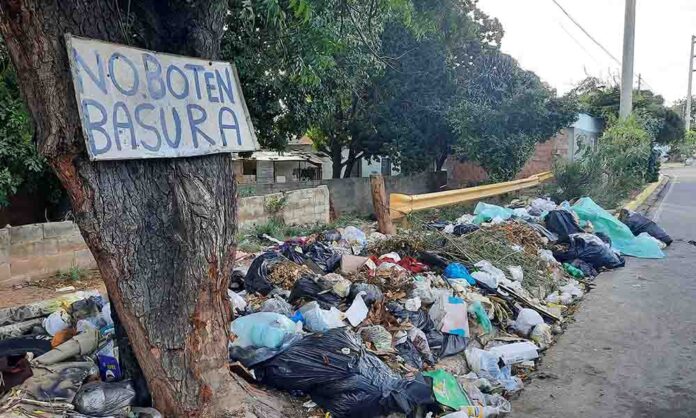 JPBasura (16) basura Maracaibo aseo
