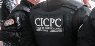 Falcón
