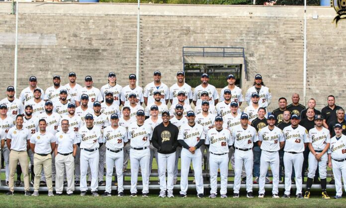 Leones del Caracas