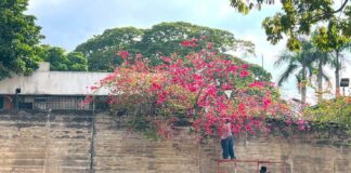 parque del este caracas