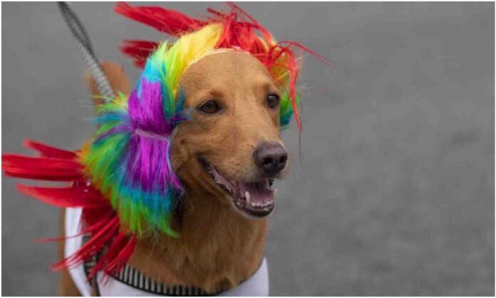 Carnaval 2023 Maracaibo