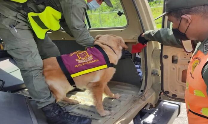 dediles cocaína táchira