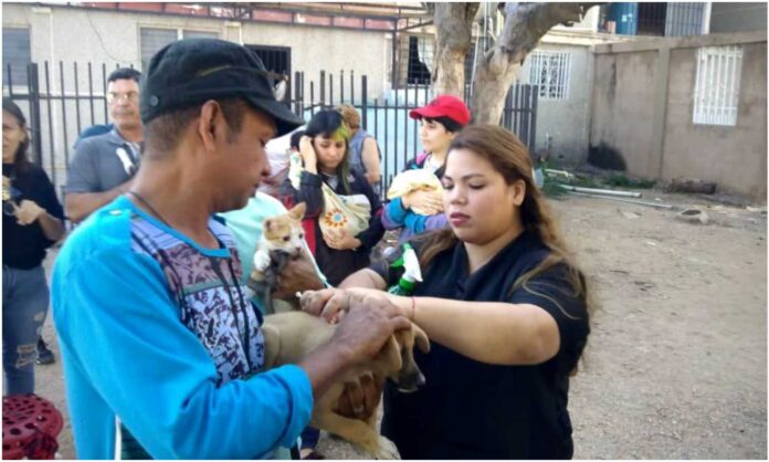 Plan de Vacunación Antirrábica Maracaibo