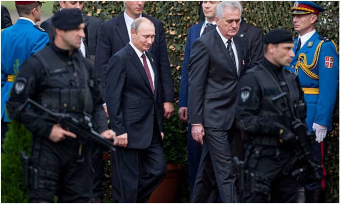 vladimir putin putin