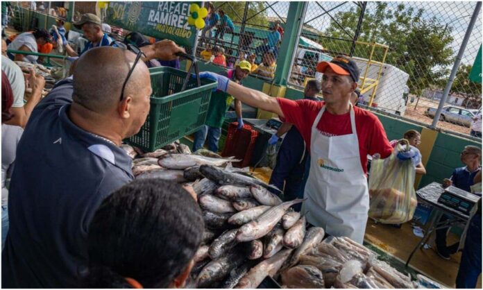 FeriaDelPescadoMaracaibo (1) feria del pescado maracaibo