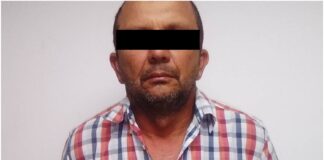 MALTRATO ANIMAL