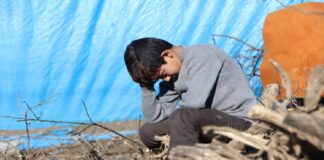 niños venezolanos