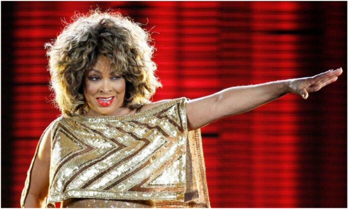 TINA TURNER TINA TURNER