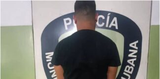 adolescente falcón