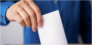 votación mayo 2025 elecciones primarias 2023