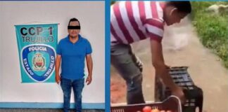agricultor botar cosecha