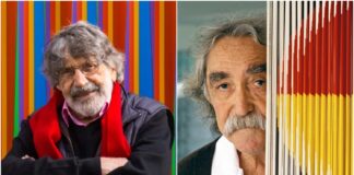 Carlos Cruz-Díez