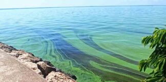 PDVSA Lago de Maracaibo