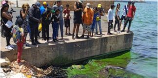 cadáver lago maracaibo