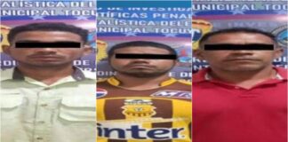 joven caballo Carabobo