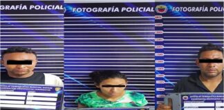 Robo barinas