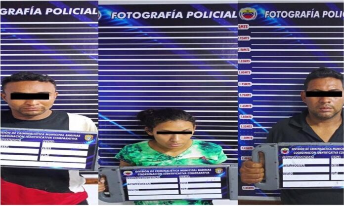 Barinas Robo barinas