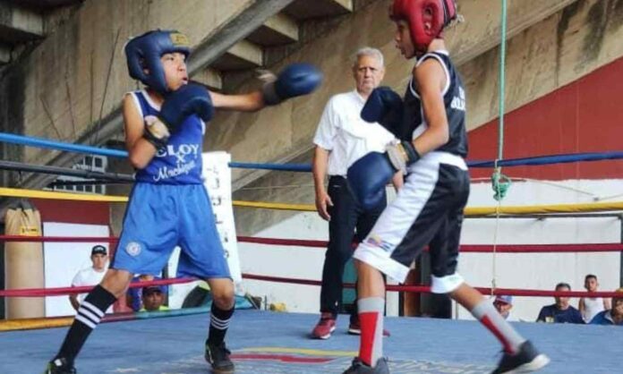 Campeonato Nacional de Boxeo Infantil Zulia (2) Campeonato Nacional de Boxeo Infantil