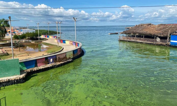 Lago Maracaibo