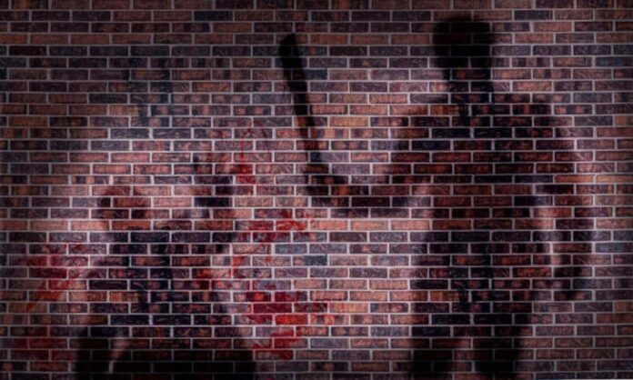 Machete (1) lara