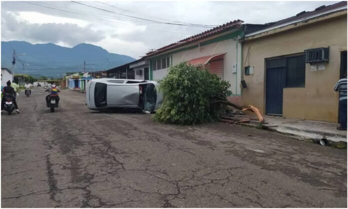 Táchira Táchira