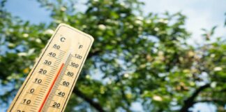 altas temperaturas