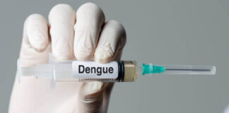 dengue