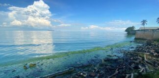 lago maracaibo