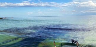 Lago Maracaibo
