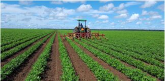 sector agrícola Venezuela