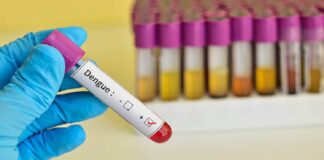 dengue