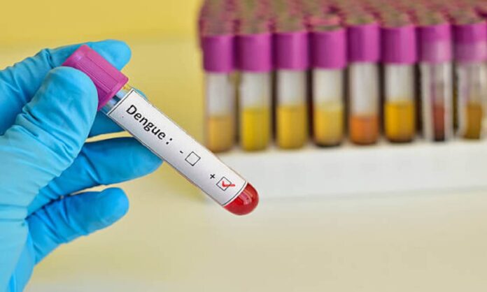 dengue