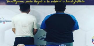 falcón
