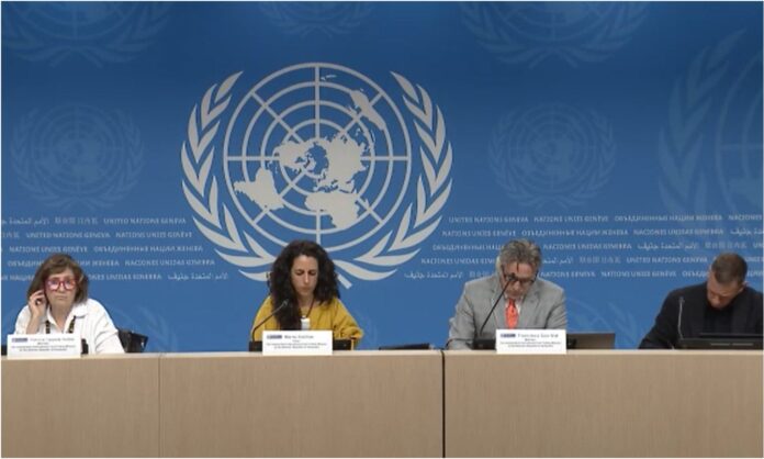 ONU Venezuela