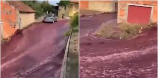 Río de Vino en Portugal
