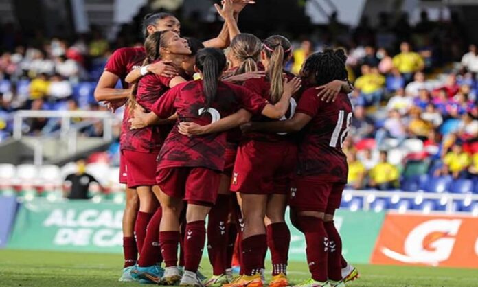 Vinotintofemenina vinotinto femenina