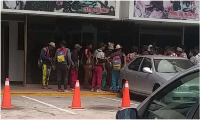Yukpas en Corpozulia