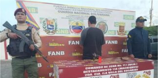 robo ganado Zulia